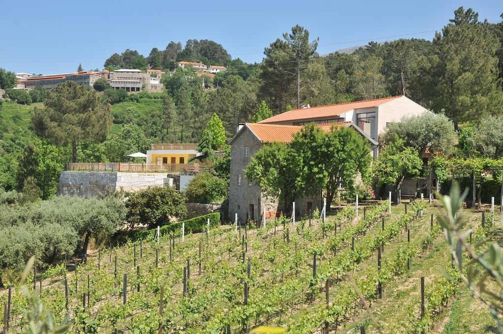 Quinta Do Vale Sanguinho Villa Seia Luaran gambar